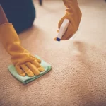 best carpet cleaner for old stains (featured image)