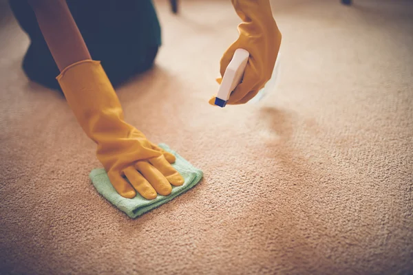 best carpet cleaner for old stains (featured image)