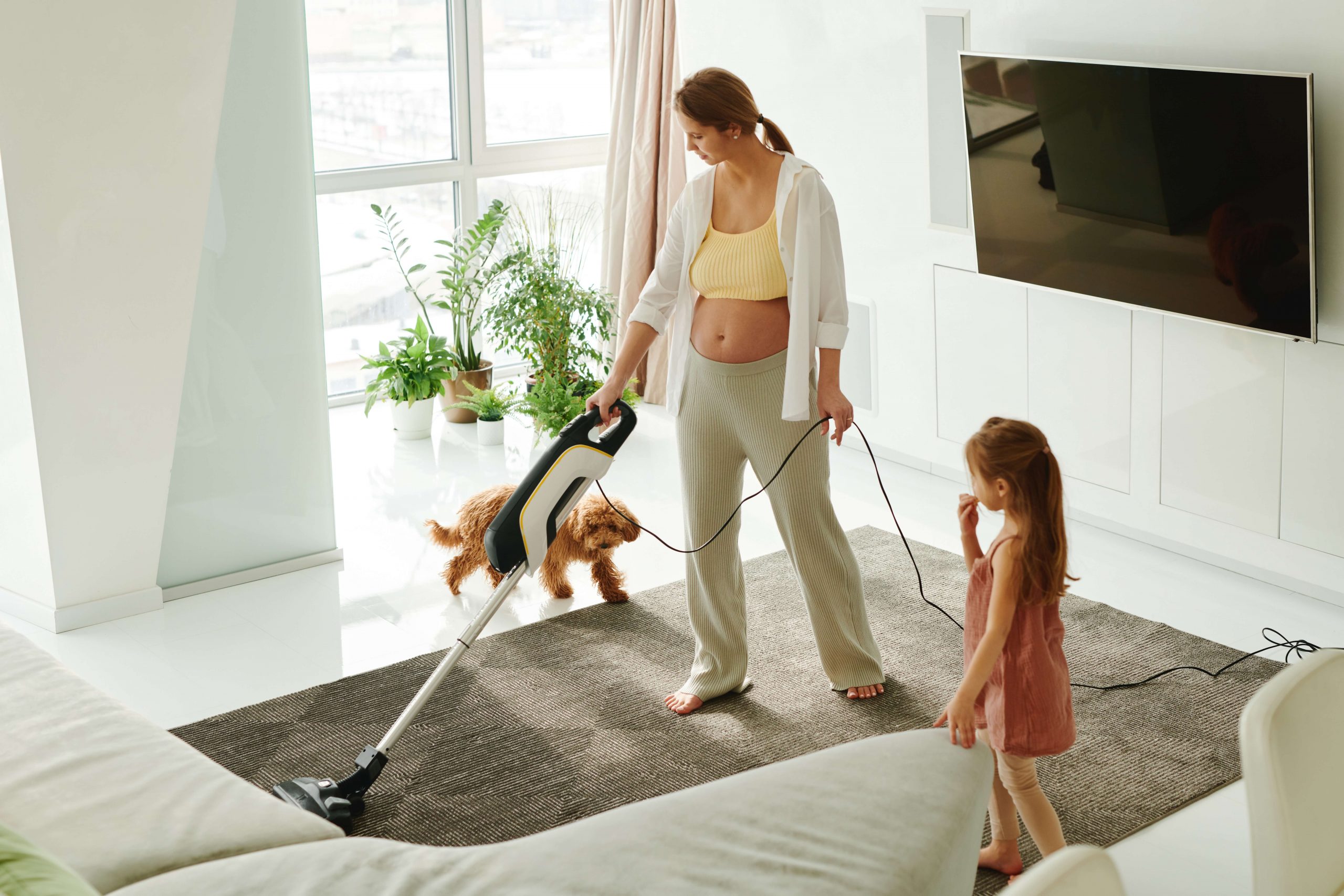 Best Carpet Cleaner for Pet Odors