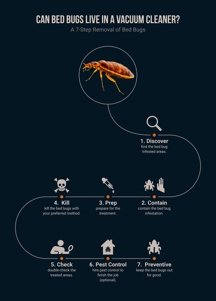 can bed bugs live in a vacuum cleaner (infographic)