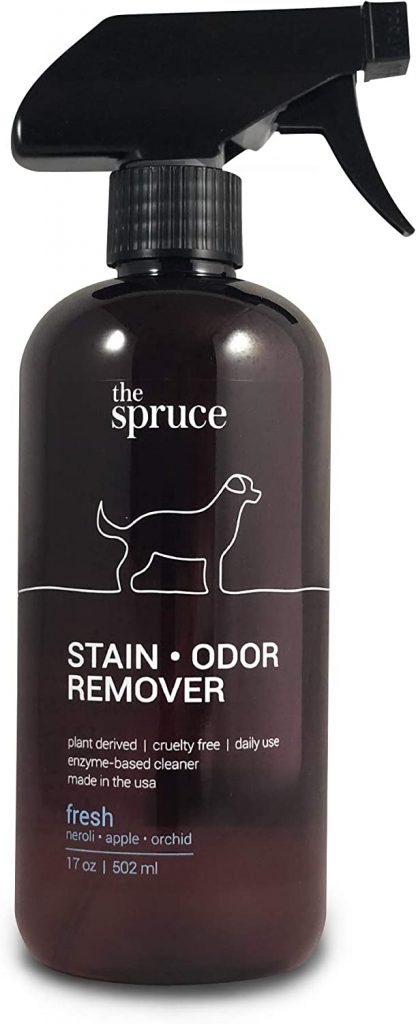The Spruce Plant-Derived and Enzyme-Based Carpet Cleaner with Pet Stain and Odor Remover 