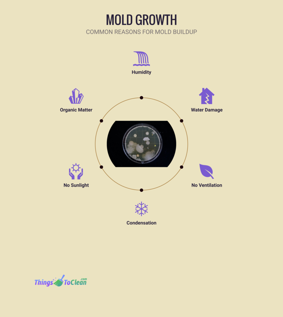 reasons for mold growth